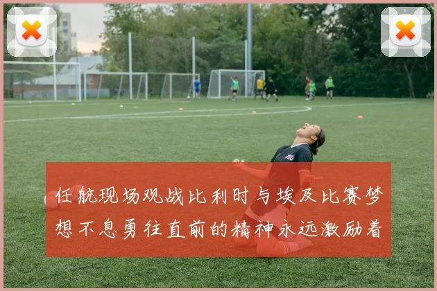 任航现场观战比利时与埃及比赛梦想不息勇往直前的精神永远激励着我们